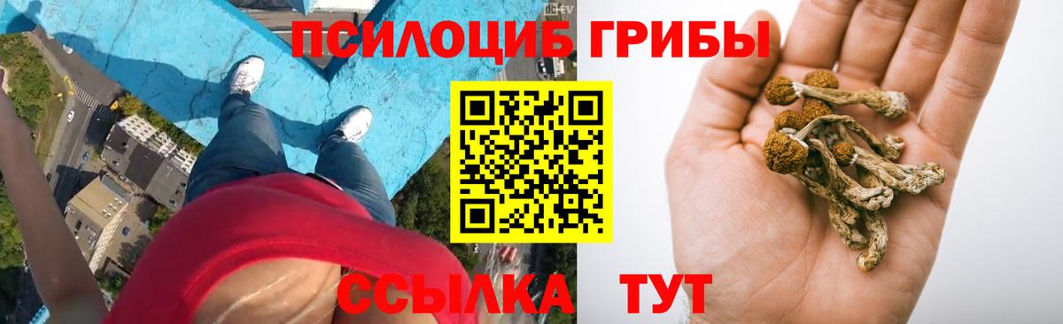 Тула  купить   Вход с VPN  Галлюциногенные грибы мухоморы 